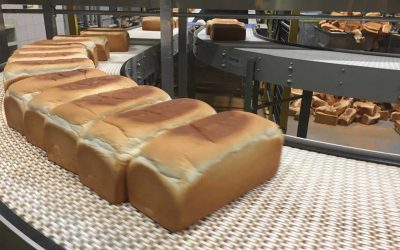 5 QUESTIONS EVERY BAKERY NEEDS TO ASK ITS EQUIPMENT SUPPLIER