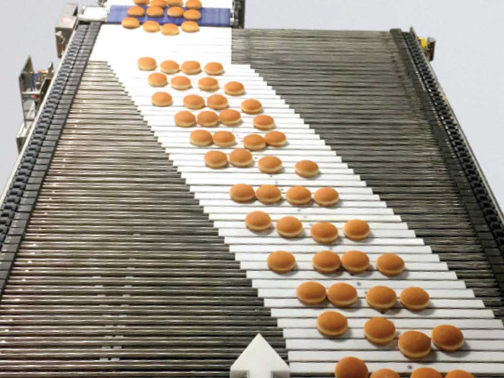Slicer Feed Conveyors<br />
